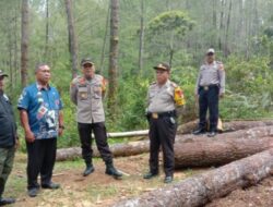 Ada apa,,,! LPP segel RI Mempertanyakan, kasus pengrusakan hutan lindung di PN Gowa.